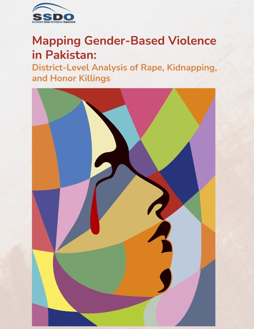 SSDO unveils report on ‘Mapping Gender-Based Violence in Pakistan…’