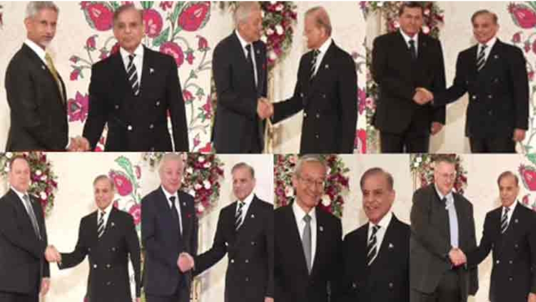 Screenshot_20241015_233715_Gallery