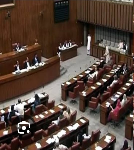 Senate  passes 26th constitutional amendment bill amidst PTI’s boycott