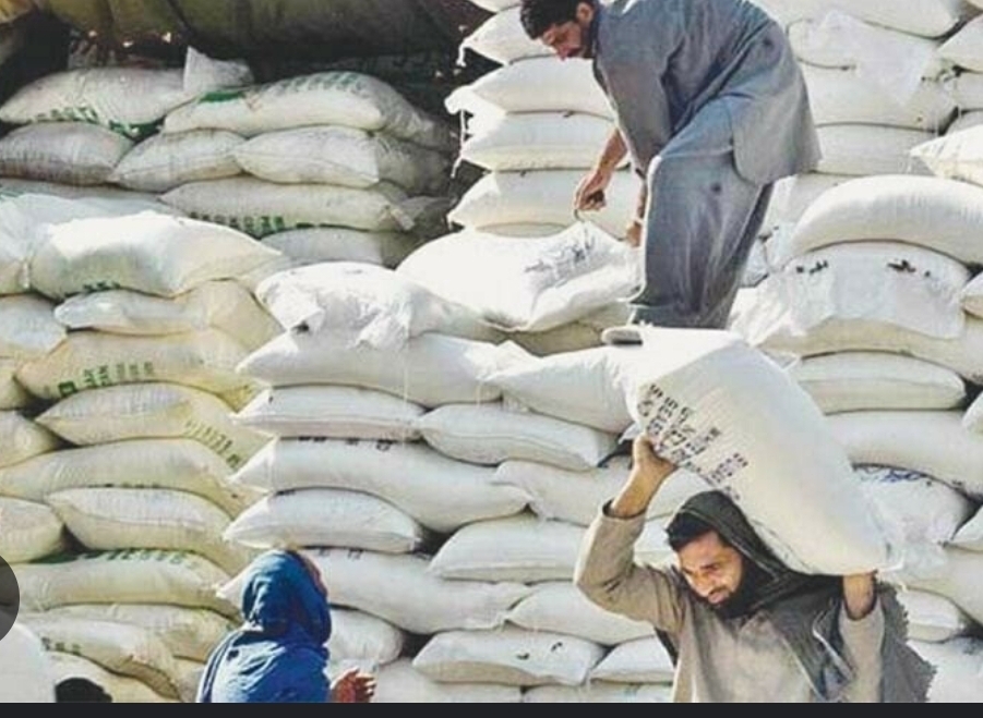 Screenshot_20241024_222555_Chrome