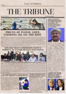 Screenshot 20241025 021047 Canva