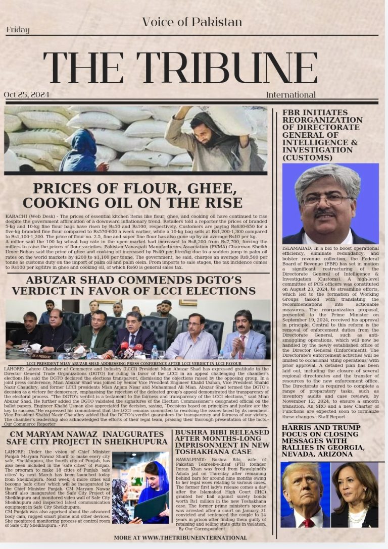 Screenshot_20241025_021047_Canva