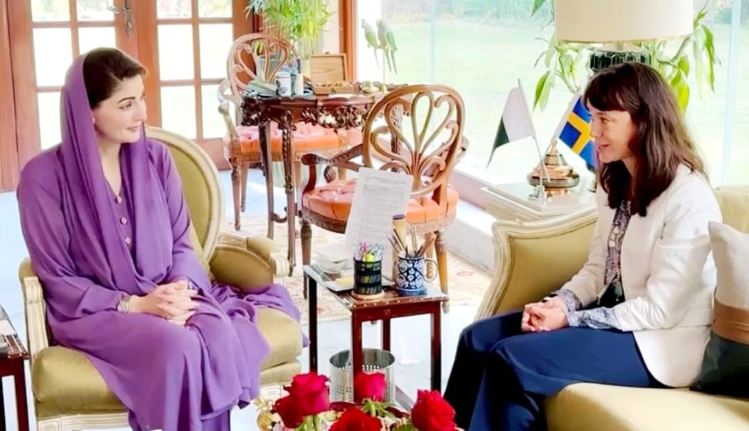 We want to benefit from Swedish experience to omprove environment: CM Maryam Nawaz Sharif
