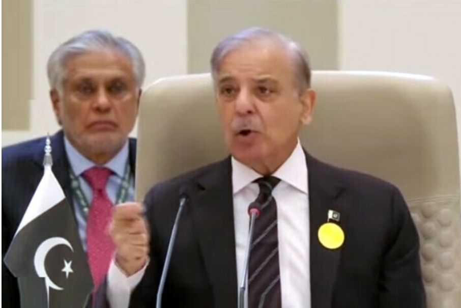 PM Shehbaz disapproves world silence over bloodshed in Gaza at Arab Summit