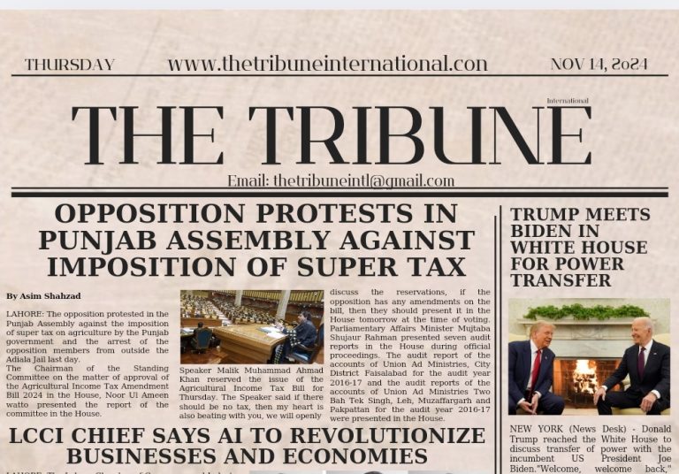 Screenshot_20241114_021024_Canva