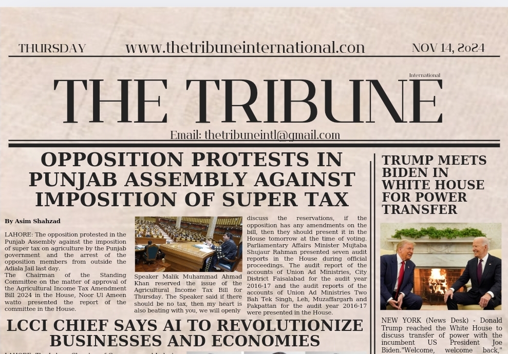 Screenshot_20241114_021024_Canva