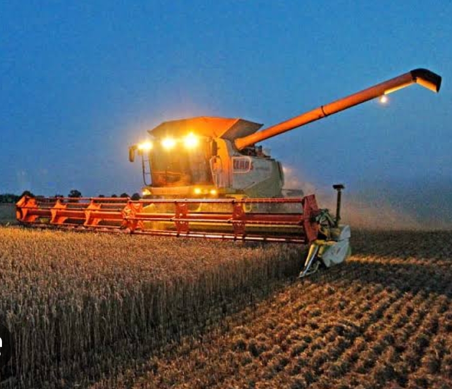 LCCI warns government of wheat crisis threat, calls for immediate action 
