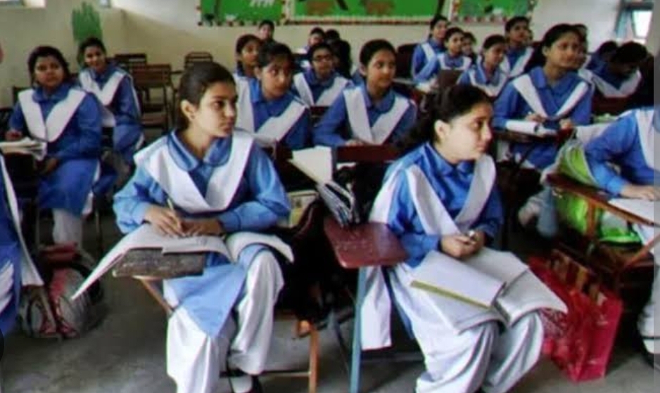 Screenshot_20241118_145847_Chrome