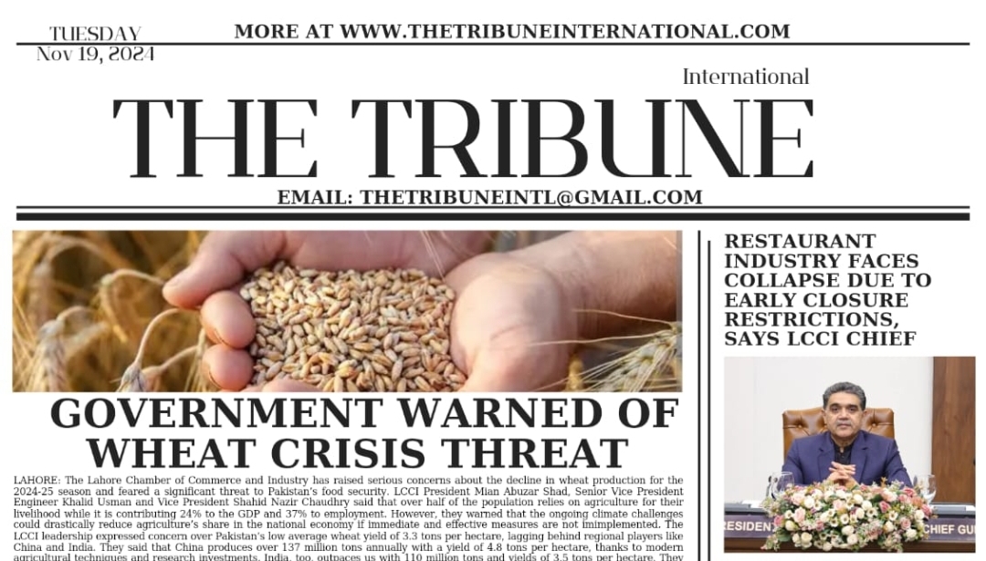 https://thetribuneinternational.com