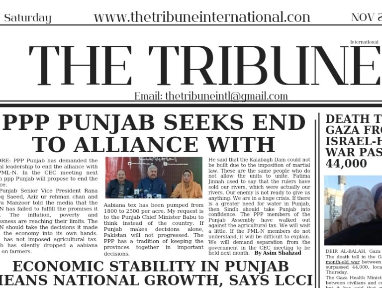 Screenshot_20241123_003449_Canva