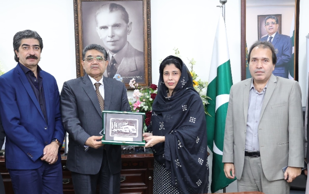 Screenshot_20241126_215920_Gmail