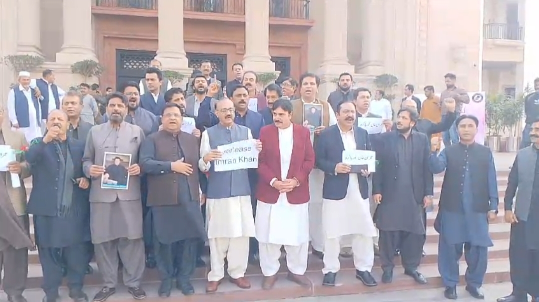 Screenshot_20250310_192940_WhatsApp