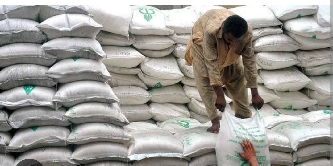 Screenshot_20250313_200203_Chrome