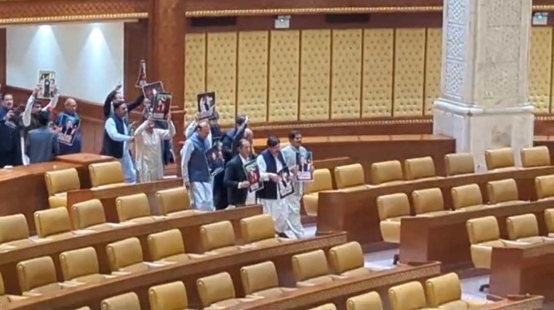 Screenshot_20250319_222727_WhatsApp