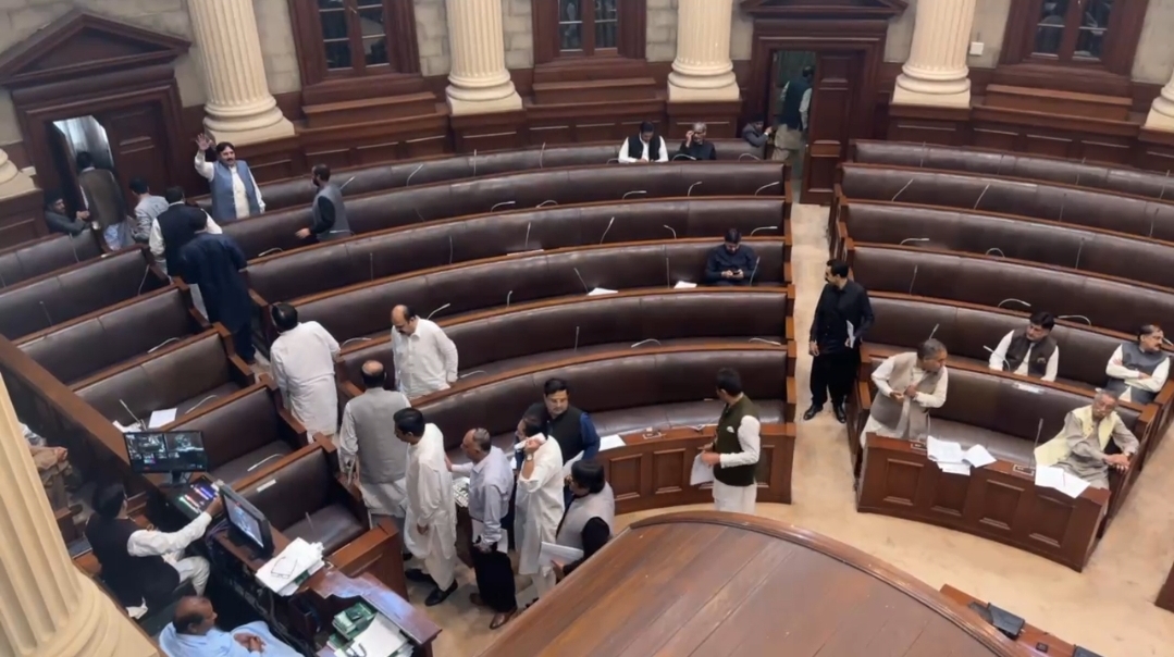 Screenshot_20250419_010026_WhatsApp