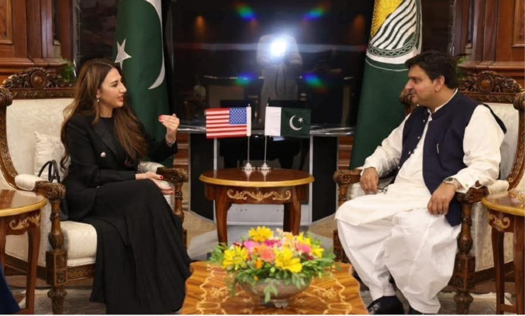 Screenshot_20250611_190925_WhatsApp