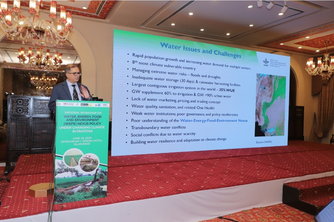 Screenshot_20250618_200320_Gallery