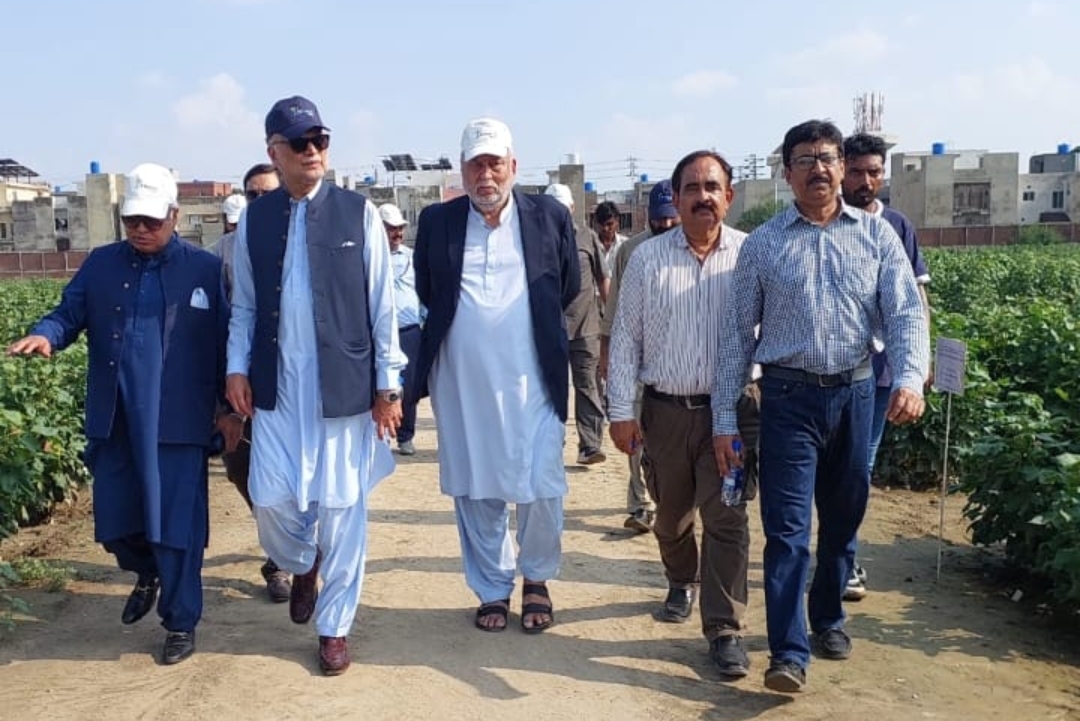 Screenshot_20250720_204534_WhatsApp