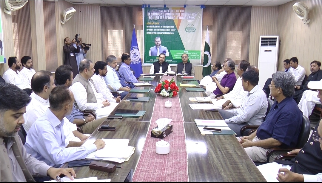 Screenshot_20250723_173008_WhatsApp