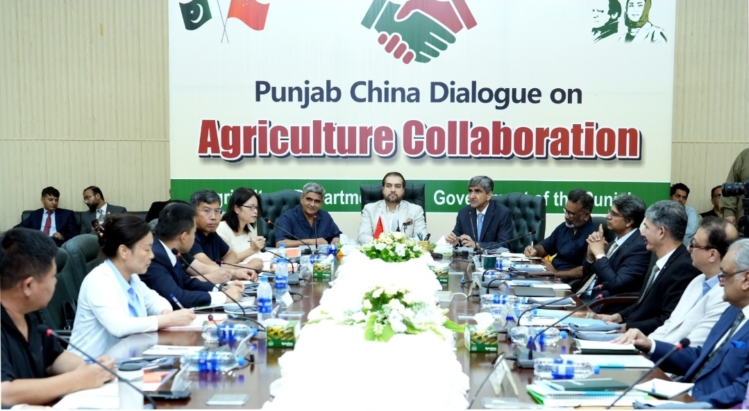 Screenshot_20250724_193921_WhatsApp