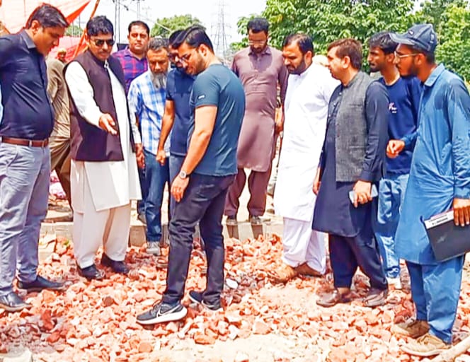 IMG-20250810-WA0025(1)