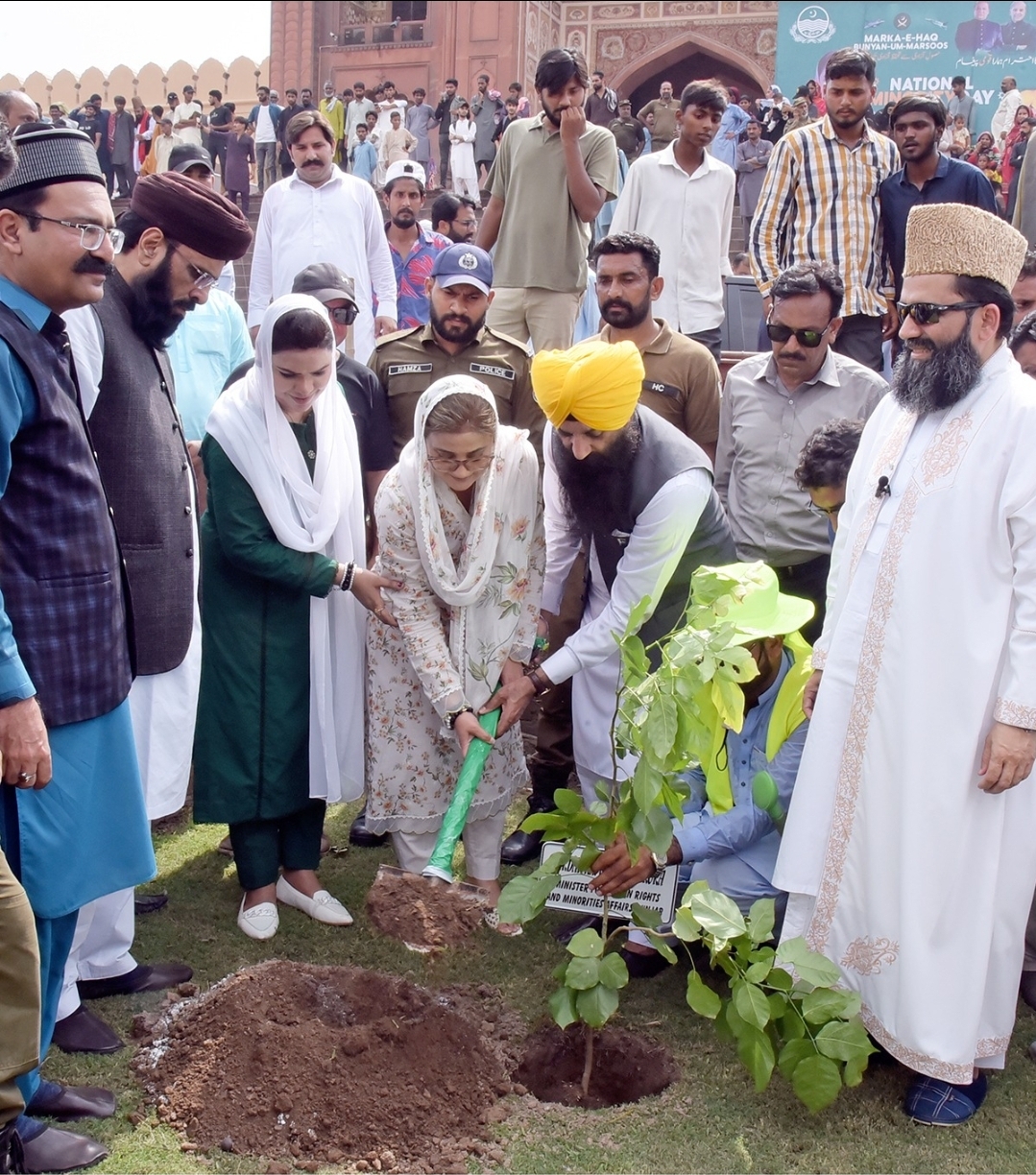 Screenshot_20250807_204746_WhatsApp