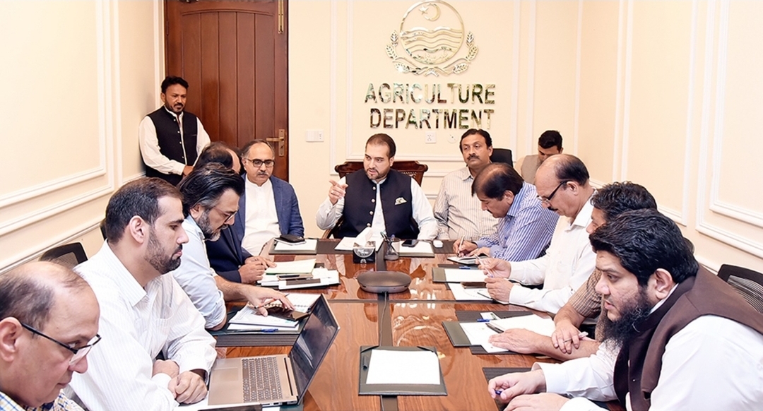 Screenshot_20250812_205455_WhatsApp