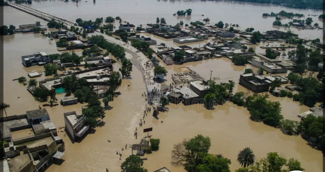 Screenshot_20250830_090112_Chrome