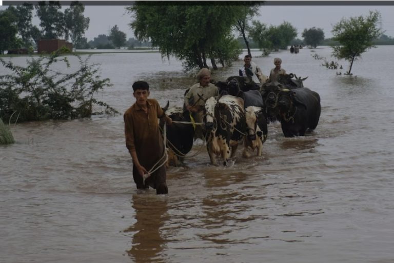 Screenshot_20250903_174258_Chrome