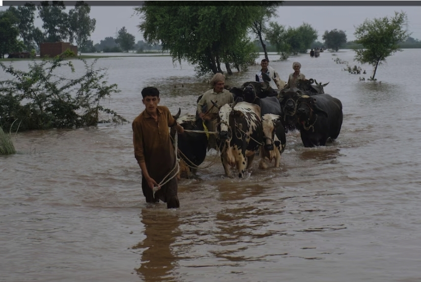 Screenshot_20250903_174258_Chrome