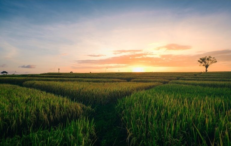 Screenshot_20250908_180701_Chrome