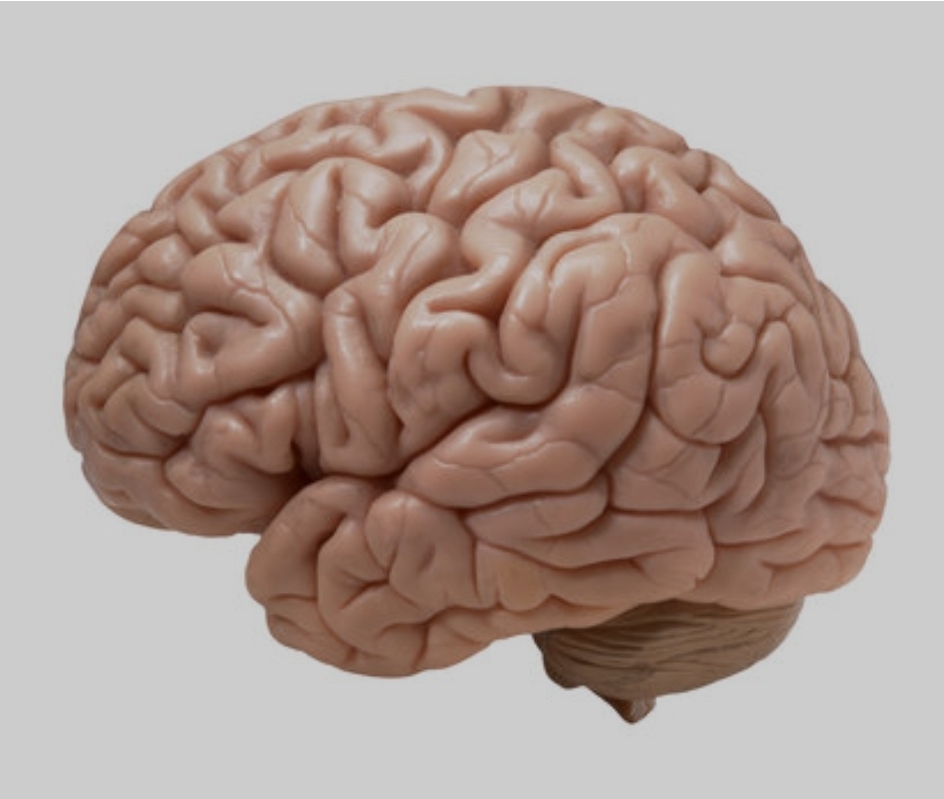 15 proven ways to boost your brainpower naturally