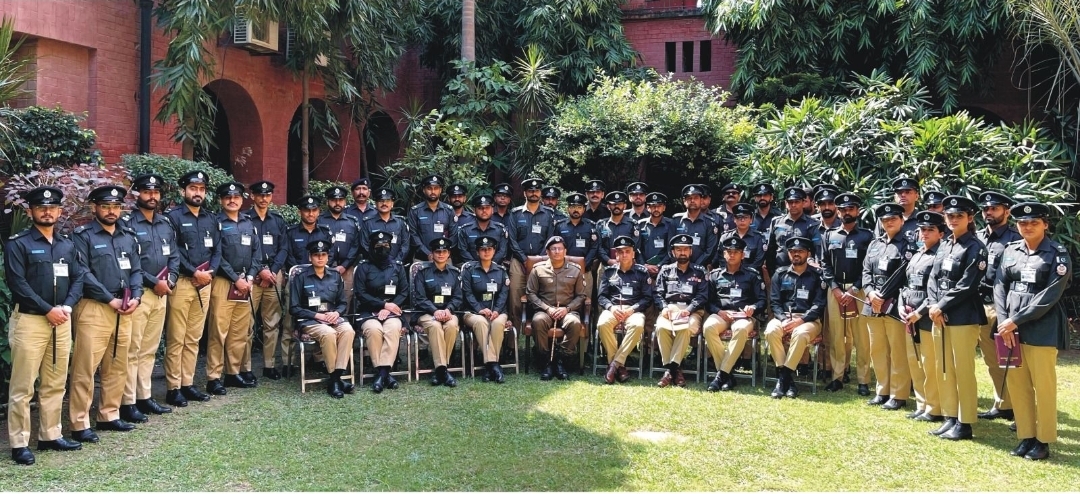 Screenshot 20250925 225710 WhatsApp