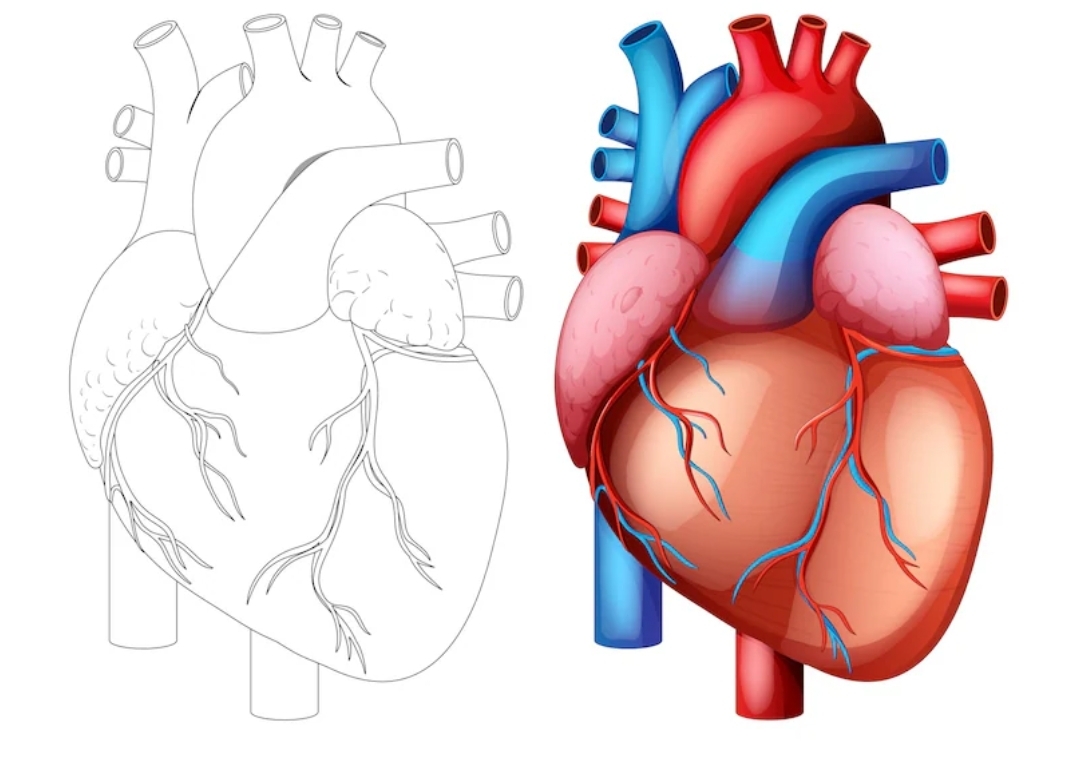 Pakistan’s silent health crisis: Why more young people are facing heart problems than ever before