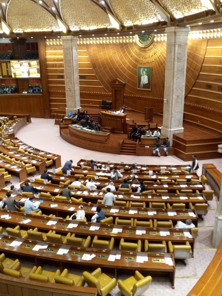 IMG-20250122-WA0055(1)