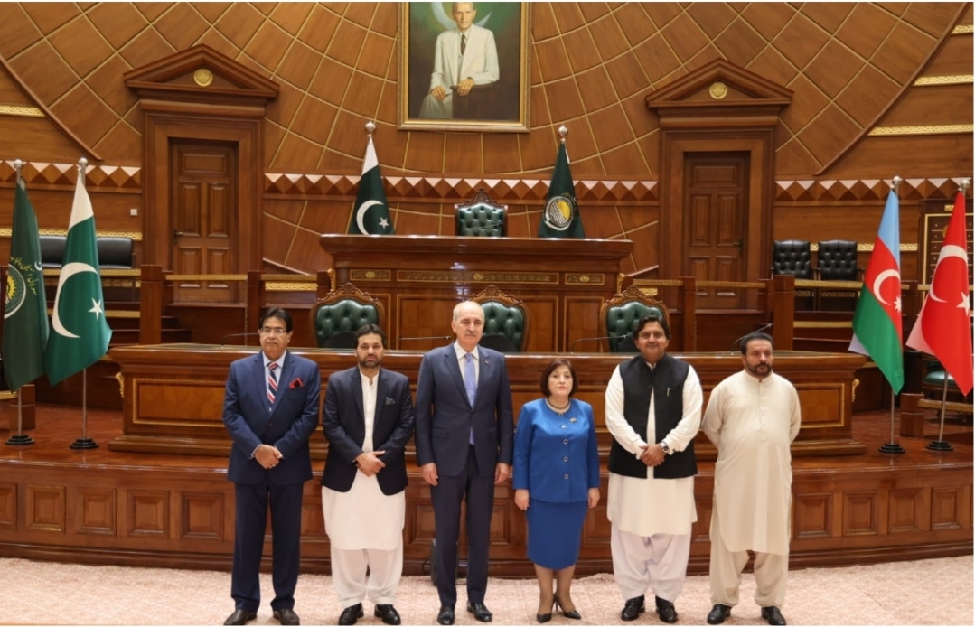 Screenshot_20251014_195218_WhatsApp