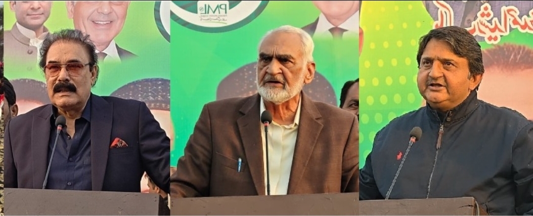 Screenshot_20251130_215217_WhatsApp