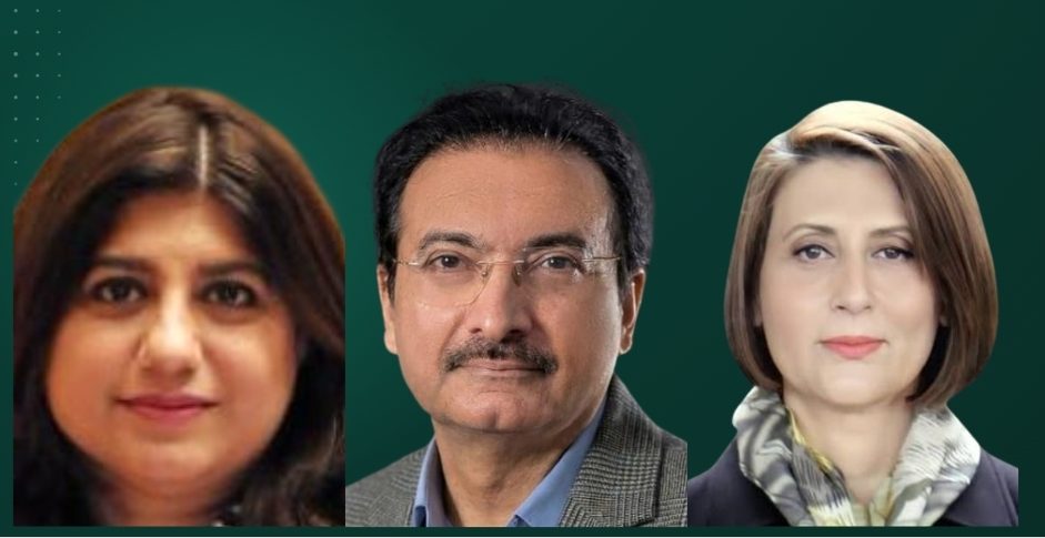 Bilawal appoints Faisal Mir as Lahore PPP president, Dr Ayesha Shaukat as general secretary