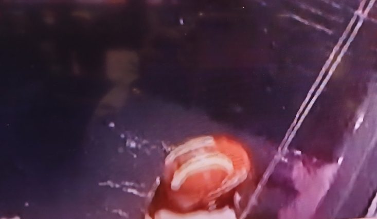 Mother and 10-month-old daughter fall into open manhole near Bahatti Gate; rescue ongoing