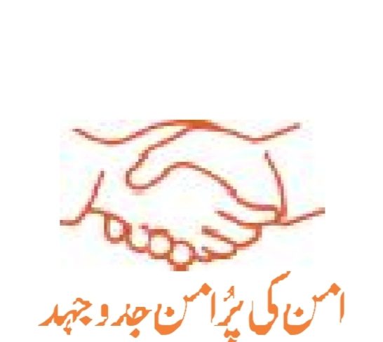 Rights groups urge Punjab CM to eview Local Government Act 2025, demand direct elections on reserved eeats