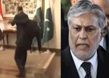 FM Ishaq Dar stumbles while receiving Egyptian counterpart