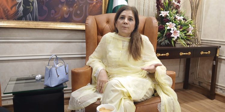 Leading the Clean Revolution: A conversation with Nabeela Intisar, CEO of Waleed Tech (Pvt) Ltd.
