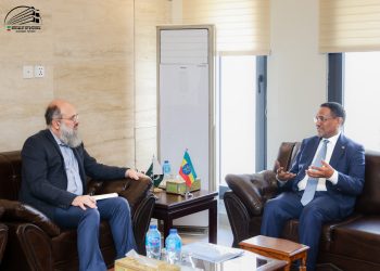 Pakistan, Ethiopia agree to boost trade ties, plan joint committee