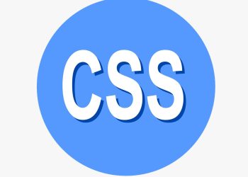 CSS exam 2025 results announced, 355 candidates pass