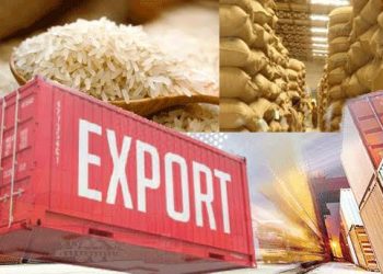 Pakistan rice sector urges government action to resolve export challenges