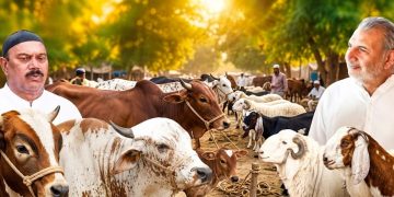 Founders Group leaders organise sacrificial arrangements, distribute meat among deserving families on Eid-ul-Adha