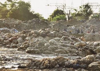 Punjab govt to impose Rs50,000 fine for dumping animal waste during Eid ul Adha