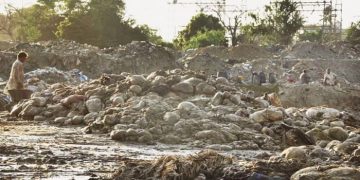 Punjab govt to impose Rs50,000 fine for dumping animal waste during Eid ul Adha