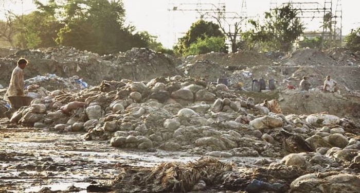 Punjab govt to impose Rs50,000 fine for dumping animal waste during Eid ul Adha
