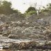 Punjab govt to impose Rs50,000 fine for dumping animal waste during Eid ul Adha